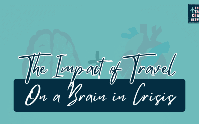 The Impact of Travel on a Brain in Crisis